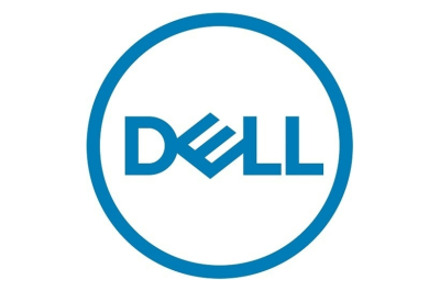 DELL BOSS-N1 RAID controller