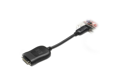 HP 484156-001 video kabel adapter DVI-D DisplayPort Zwart