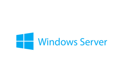 Lenovo Windows Server 2019 Client Access License (CAL) 1 licentie(s)