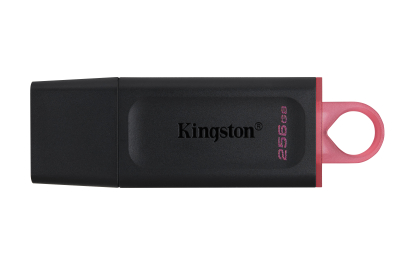 Kingston Technology DataTraveler Exodia - USB 3.2 Flash Drive