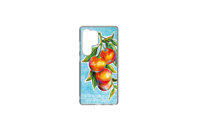 Samsung Galaxy S25 Ultra Lieve Merlijn Mandarin Hybrid Case Anymode